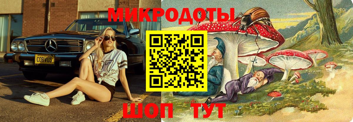 Галлюциногенные грибы Psilocybe Ижевск