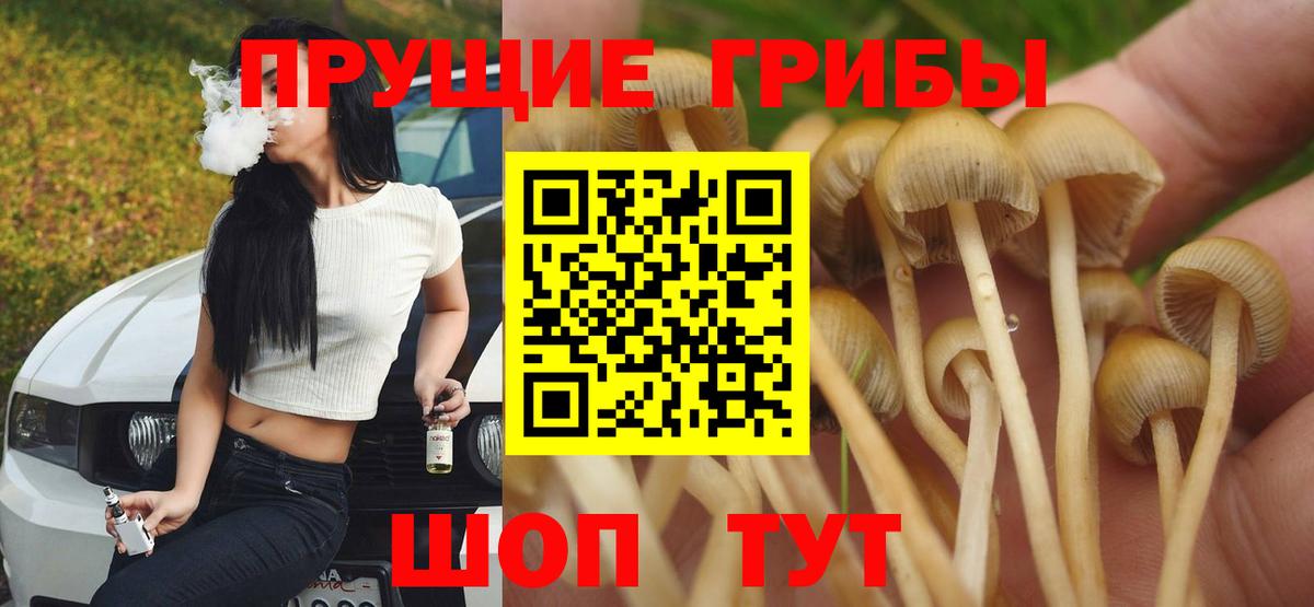 Ижевск  Псилоцибиновые грибы мицелий  Галлюциногенные грибы ЛСД  Вход с VPN 